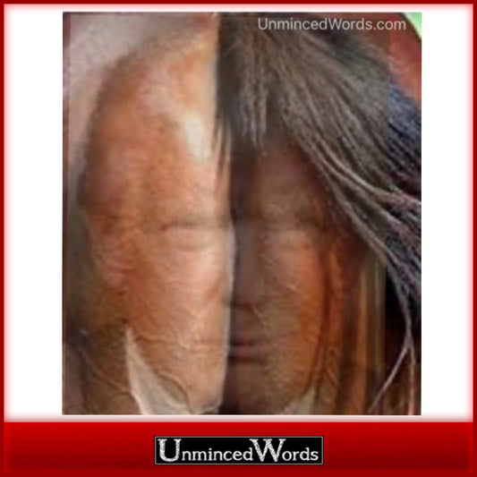 President or horse’s ass? What do you see?