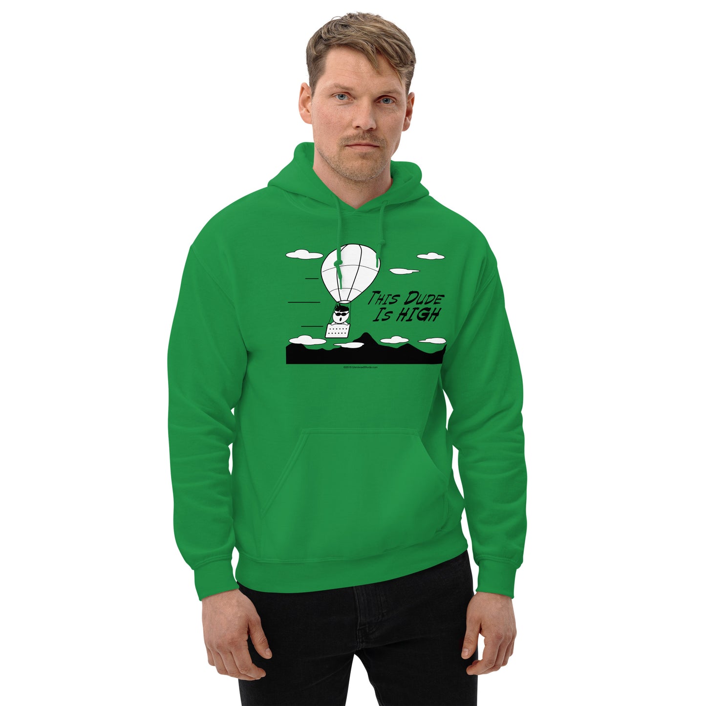 This Dude is High - Hoodie - Unminced Words