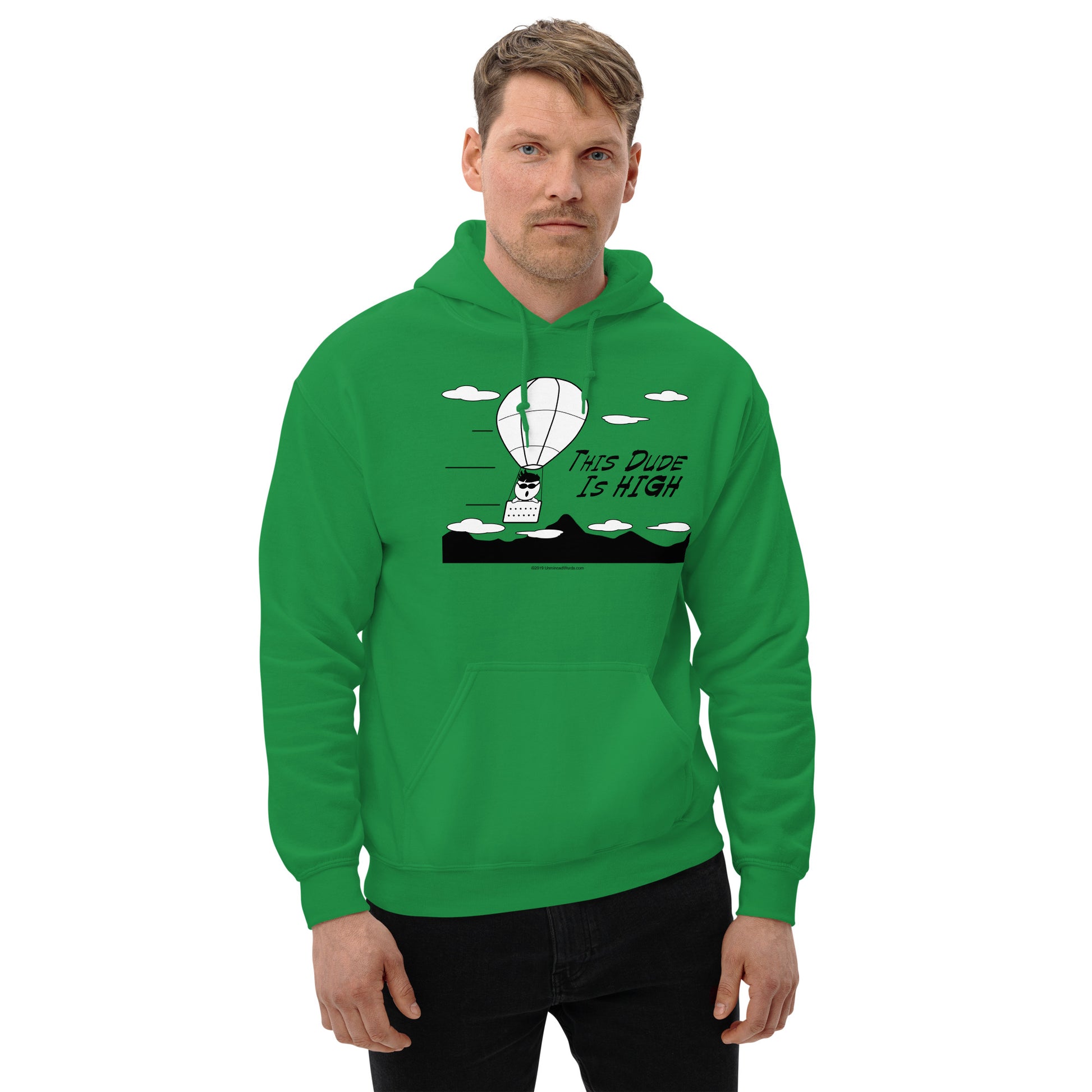 This Dude is High - Hoodie - Unminced Words