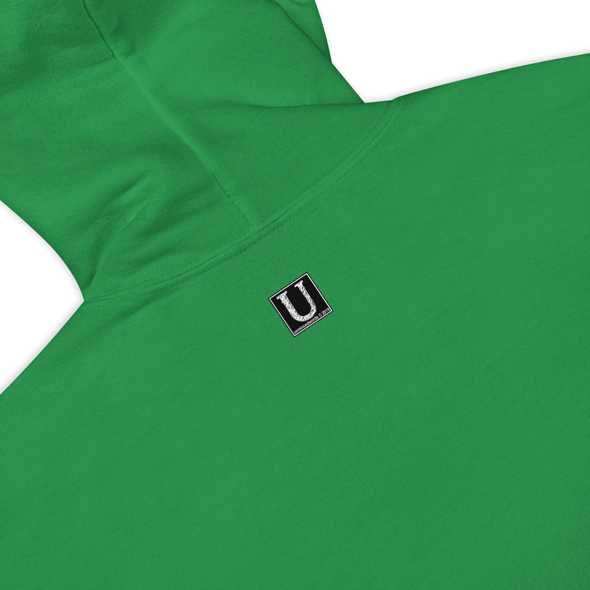 This Dude is High - Hoodie - Unminced Words
