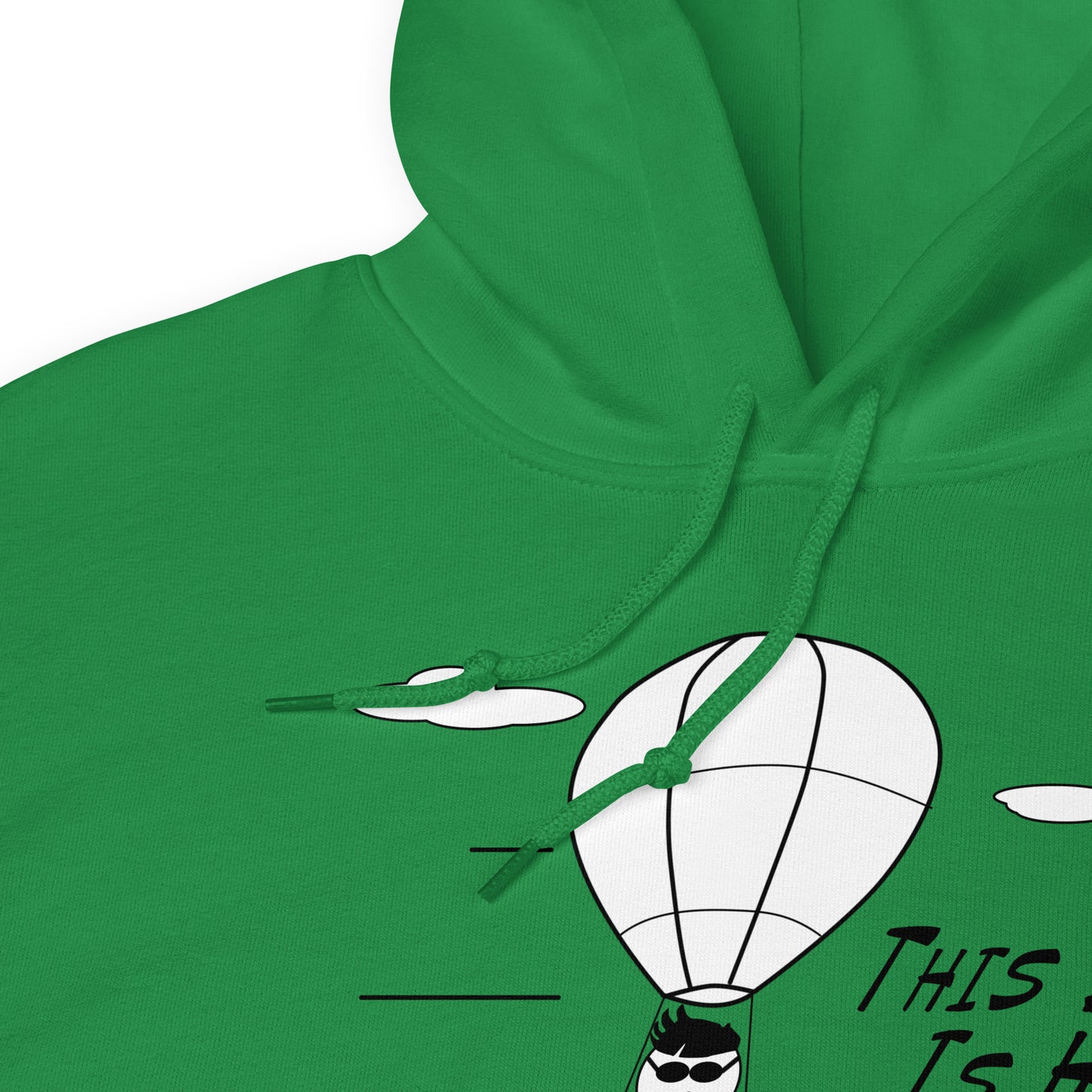 This Dude is High - Hoodie - Unminced Words