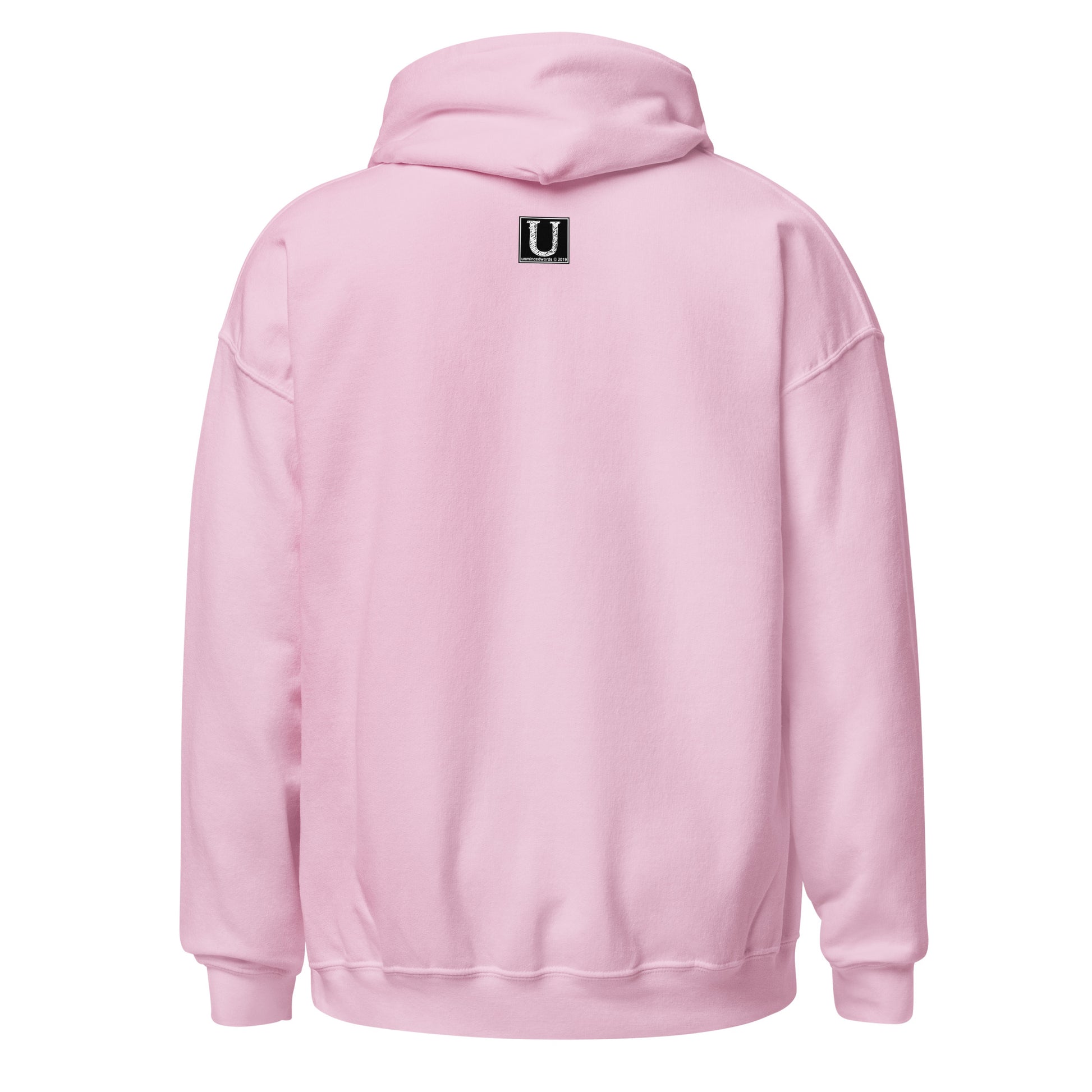 This Dude is High - Hoodie - Unminced Words