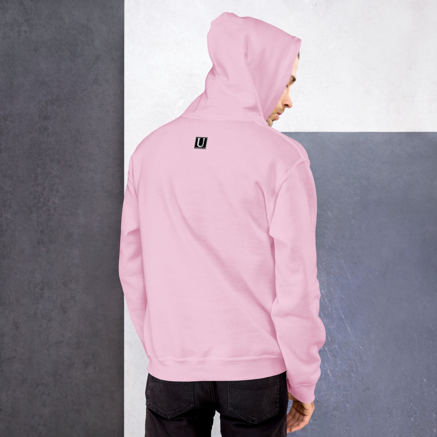 This Dude is High - Hoodie - Unminced Words