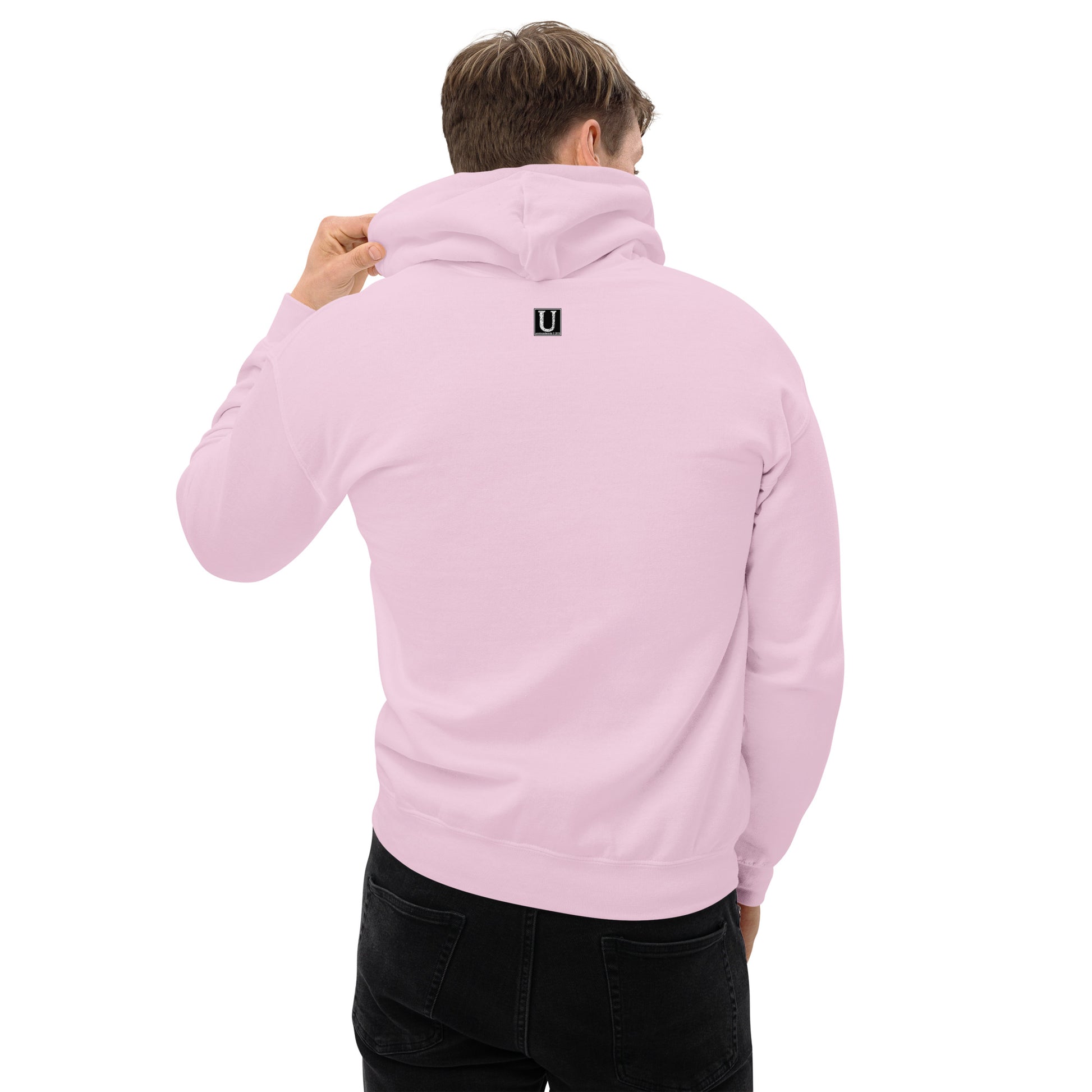 This Dude is High - Hoodie - Unminced Words