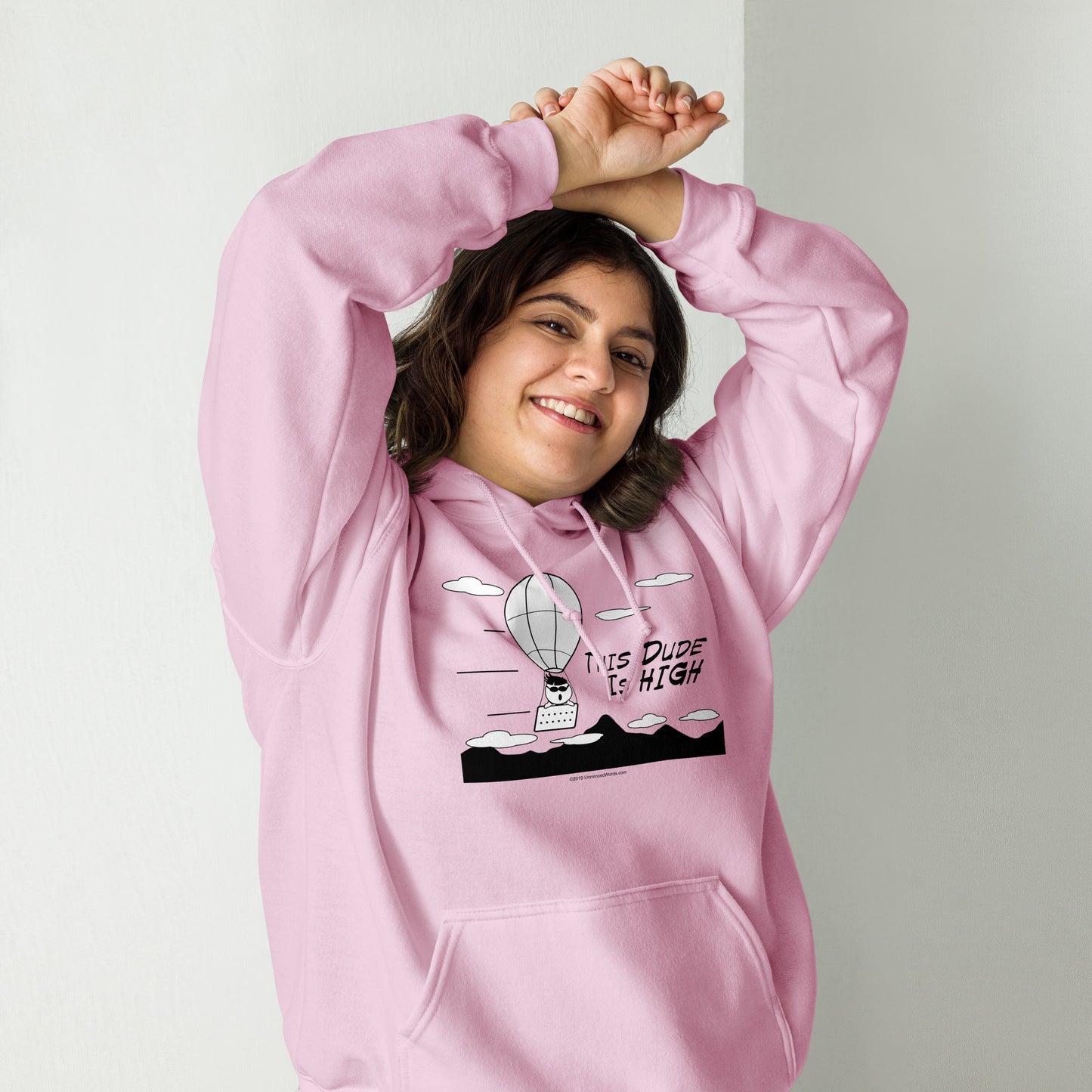 This Dude is High - Hoodie - Unminced Words