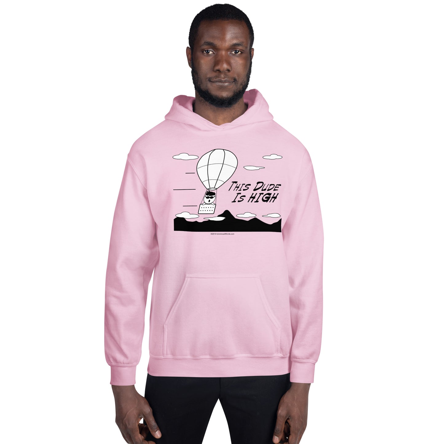 This Dude is High - Hoodie - Unminced Words