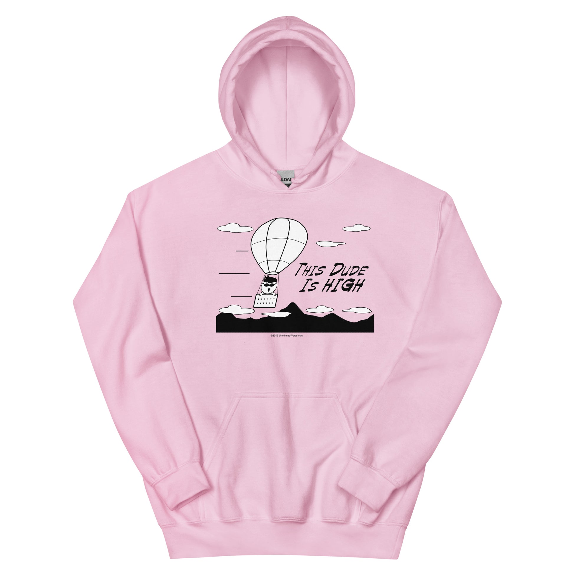 This Dude is High - Hoodie - Unminced Words