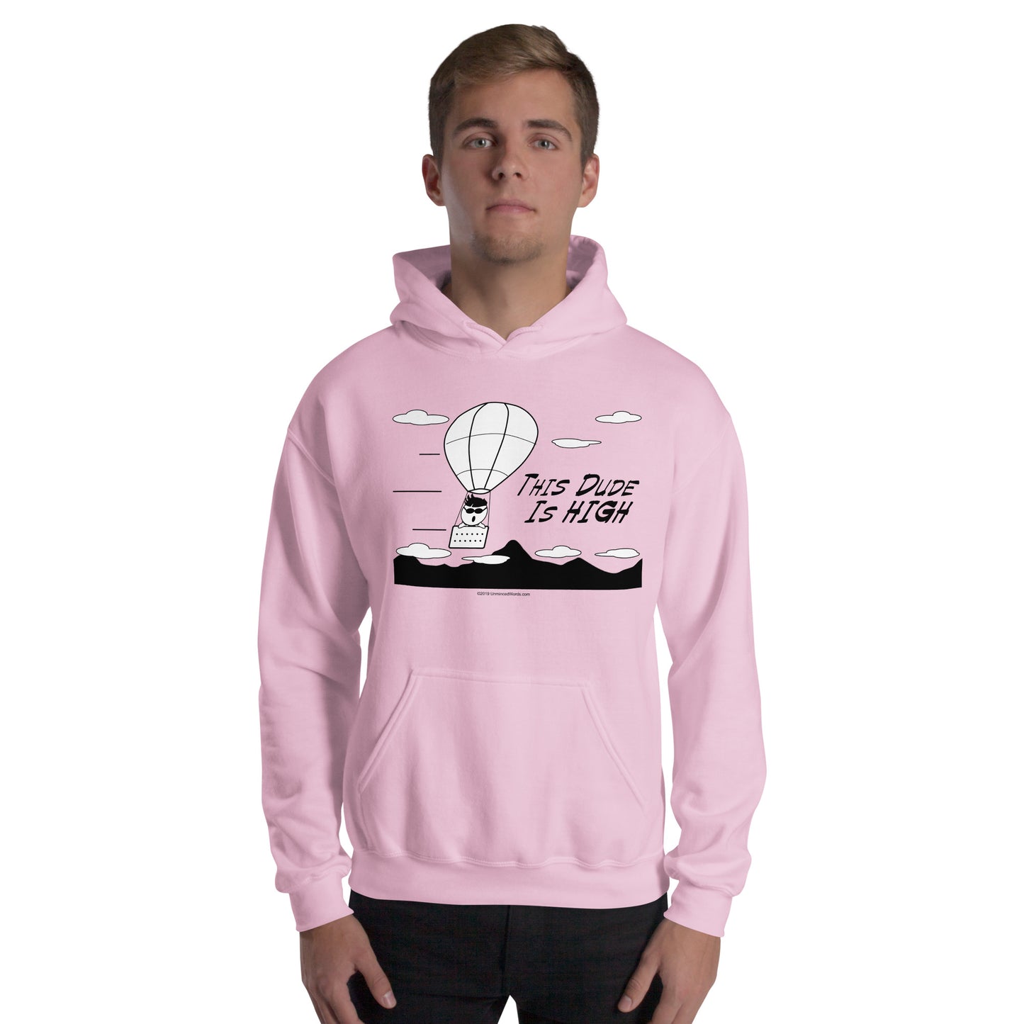 This Dude is High - Hoodie - Unminced Words