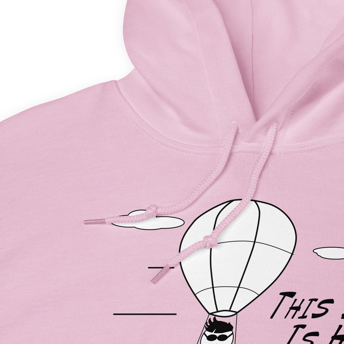 This Dude is High - Hoodie - Unminced Words