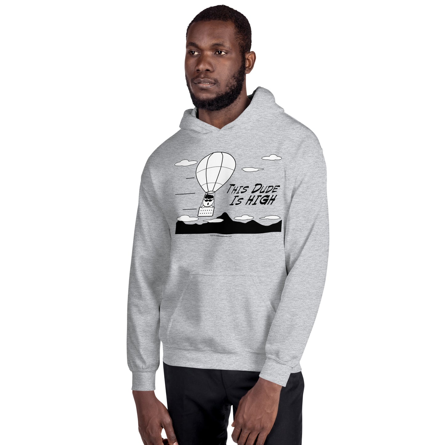 This Dude is High - Hoodie - Unminced Words