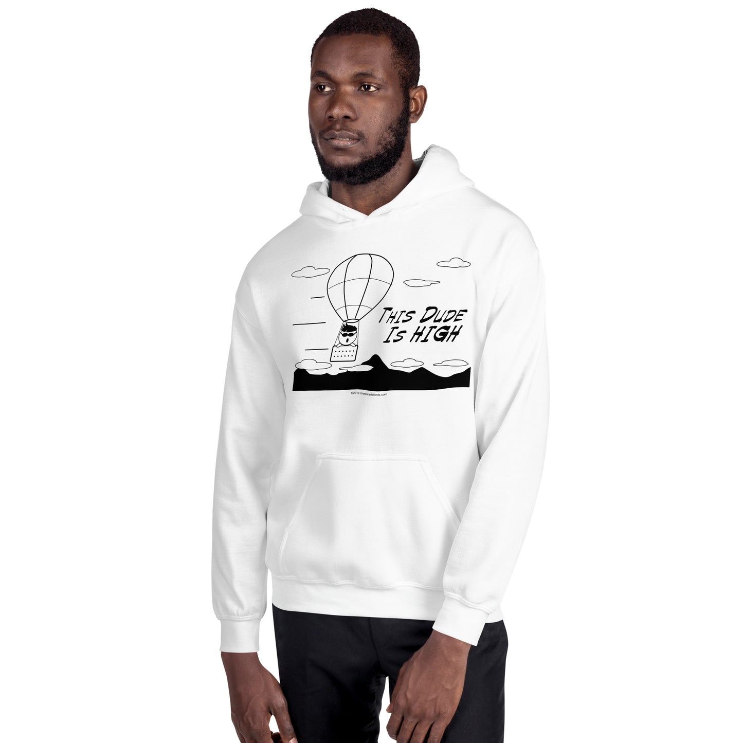 This Dude is High - Hoodie - Unminced Words