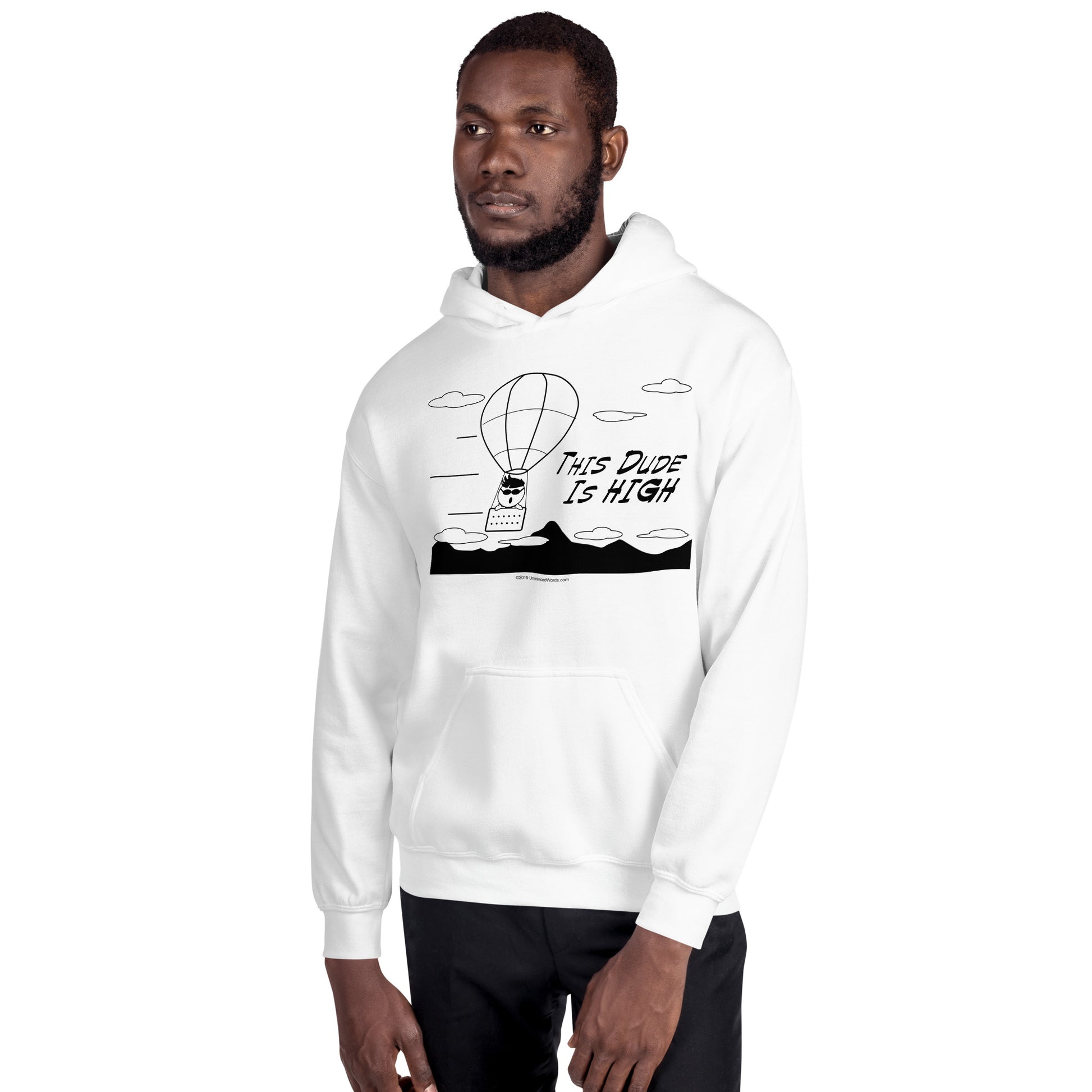 This Dude is High - Hoodie - Unminced Words