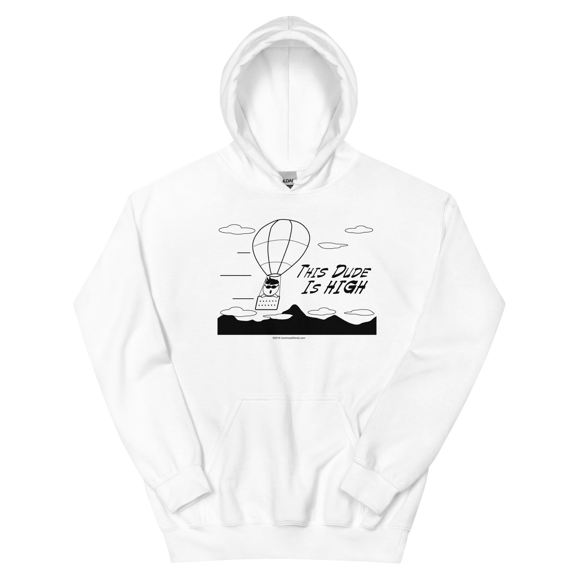 This Dude is High - Hoodie - Unminced Words